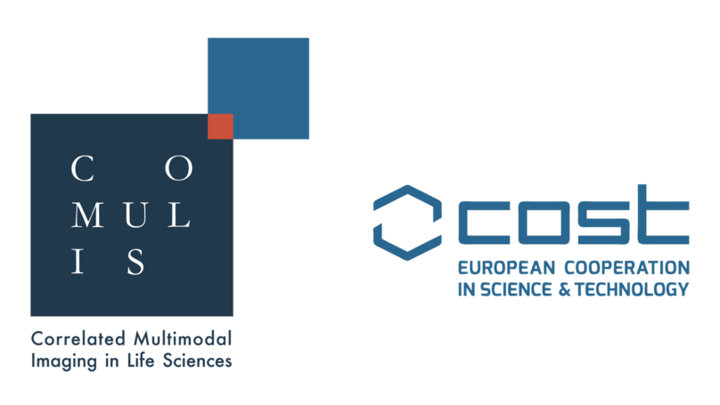 COMULIS virtual training school on "Image processing for correlated and multimodal imaging techniques"