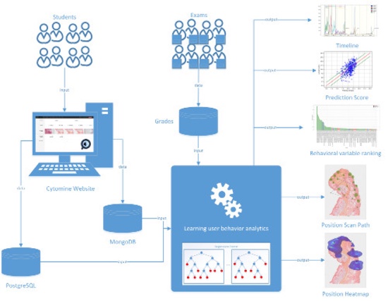 Tools for user behavior analytics